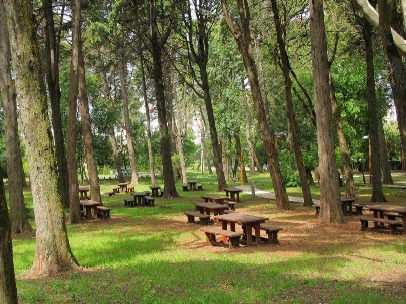 Premium Picnic Zones gallery 1
